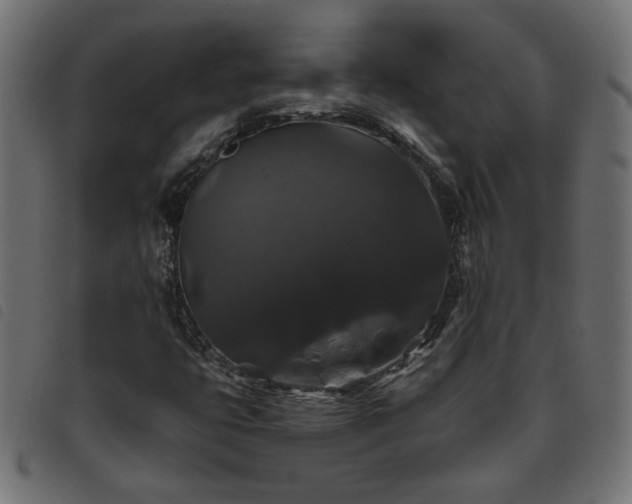 X0000093451399200710121344