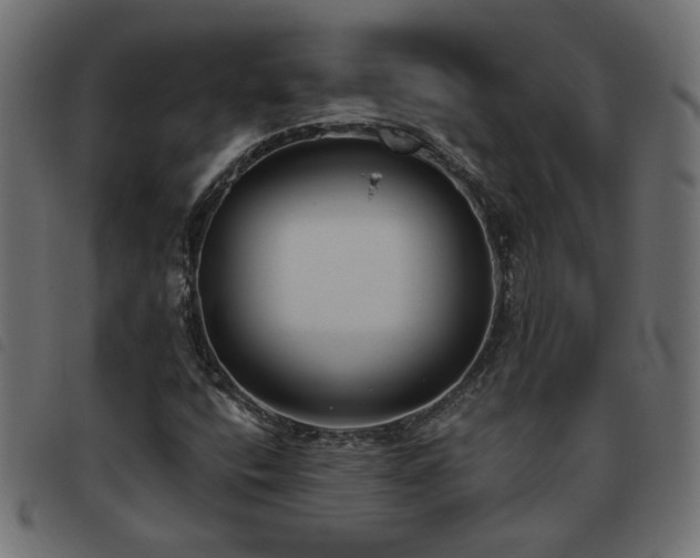 X0000093451400200710121344