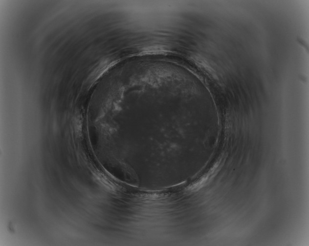 X0000093451401200710121344