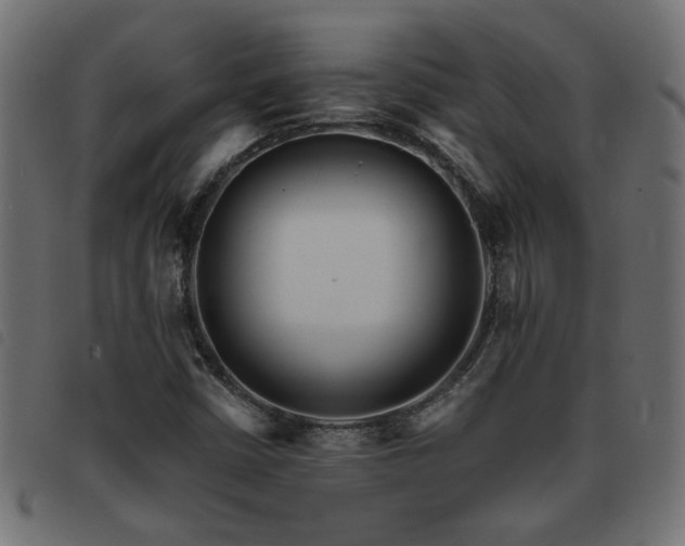 X0000093451402200710121344