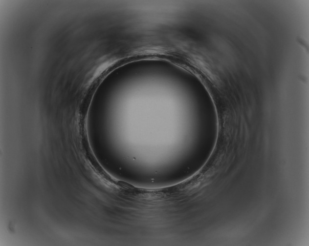 X0000093451404200710121344
