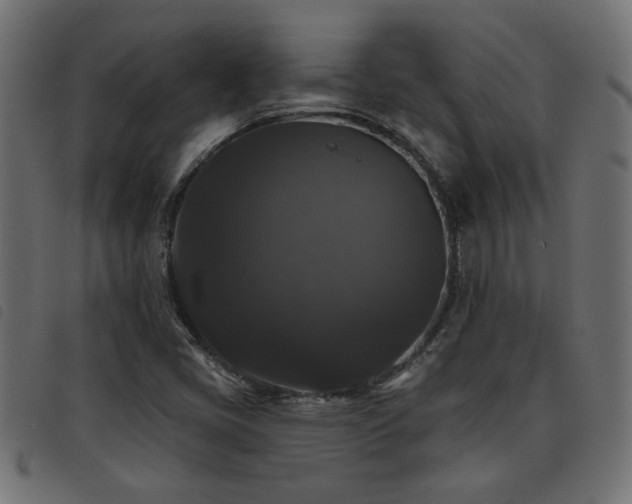 X0000093451405200710121344
