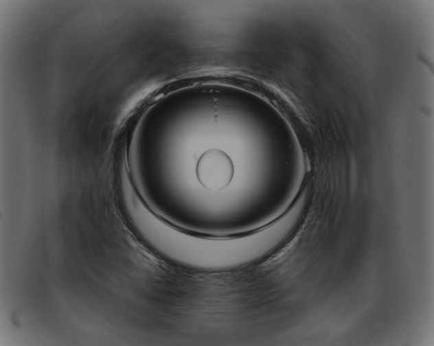 X0000093451406200710121344