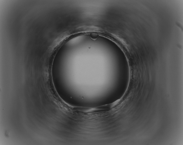 X0000093451407200710121344