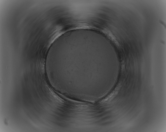 X0000093451409200710121344