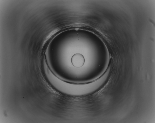 X0000093451410200710121344