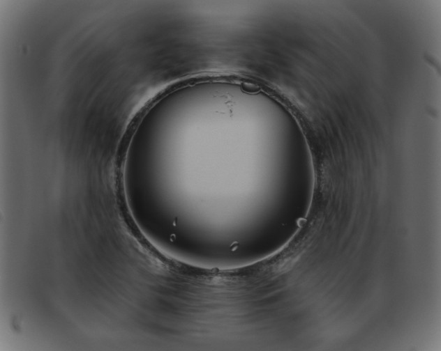 X0000093451412200710121344