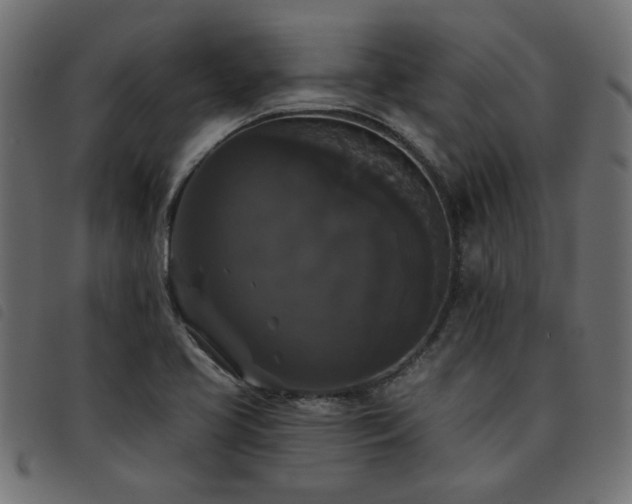 X0000093451413200710121344