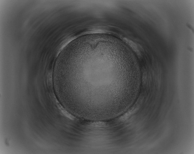 X0000093451417200710121344