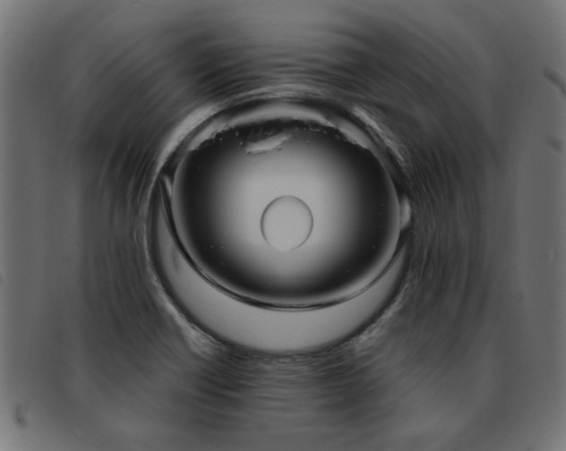X0000093451418200710121344