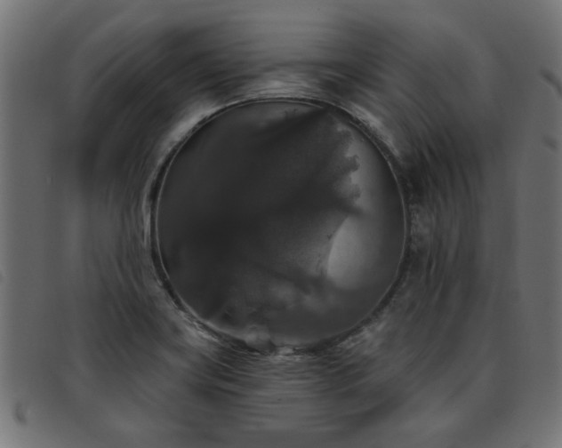 X0000093451419200710121344