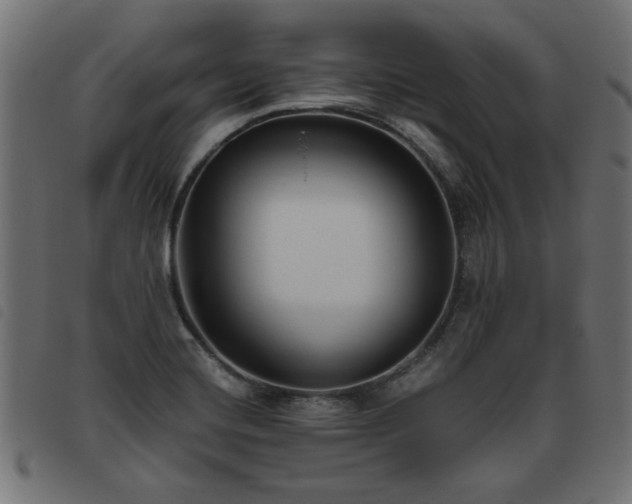 X0000093451420200710121344