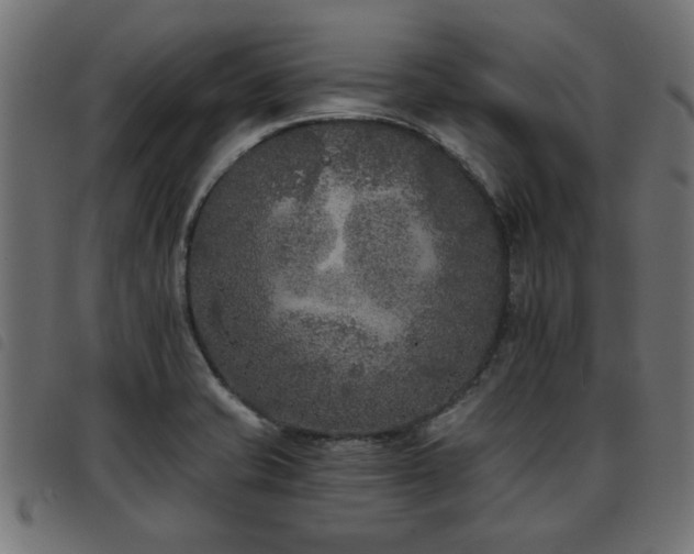 X0000093451421200710121344