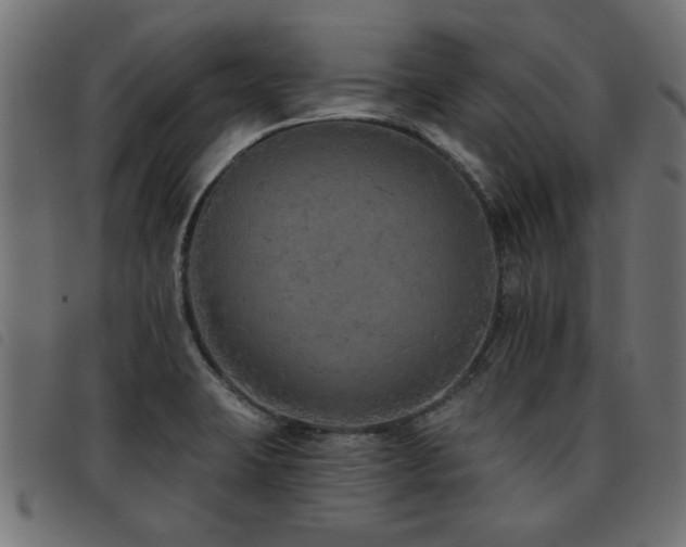 X0000093451423200710121344