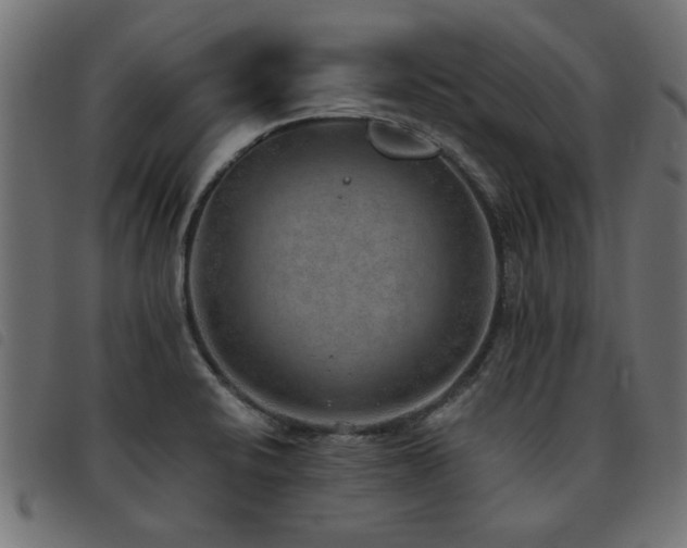 X0000093451424200710121344