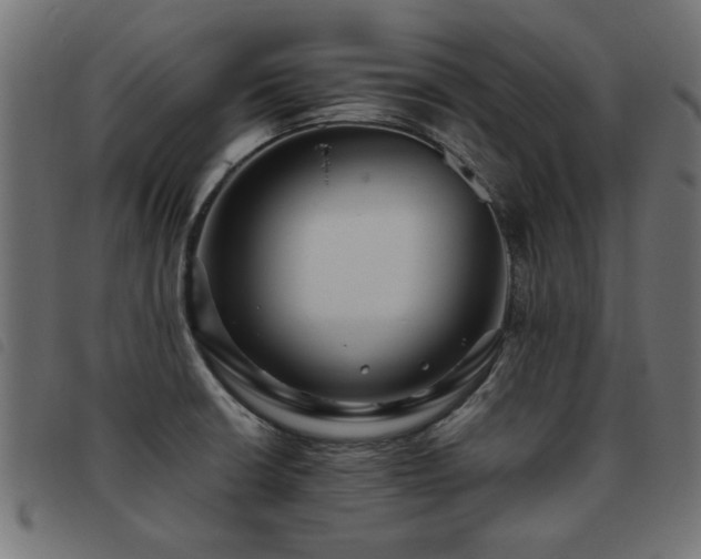 X0000093451426200710121344