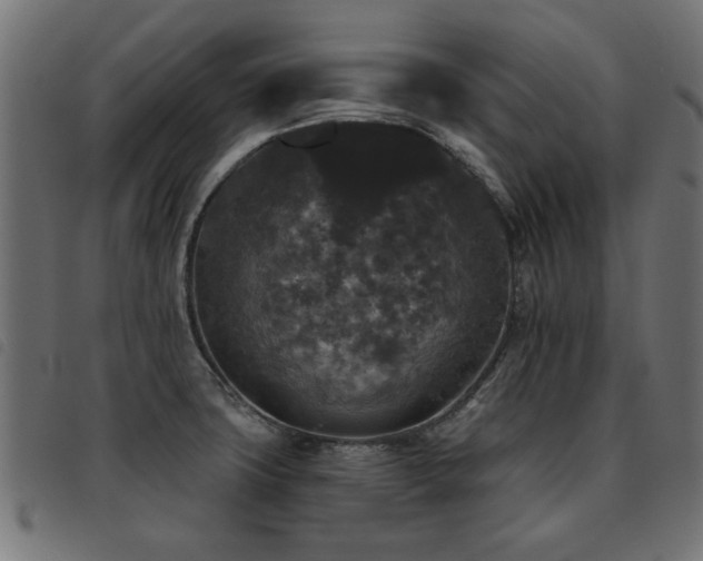 X0000093451427200710121344