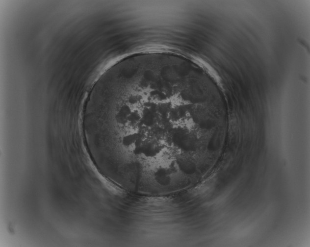 X0000093451429200710121345