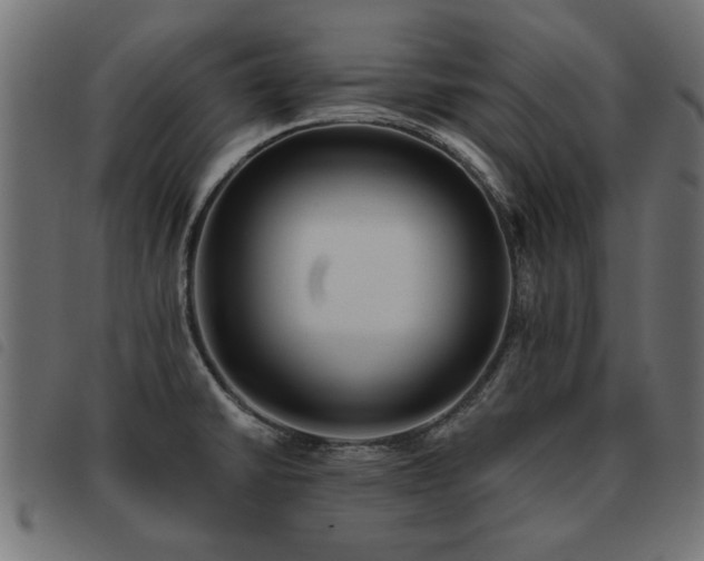 X0000093451430200710121345