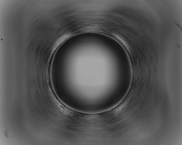 X0000093451434200710121345