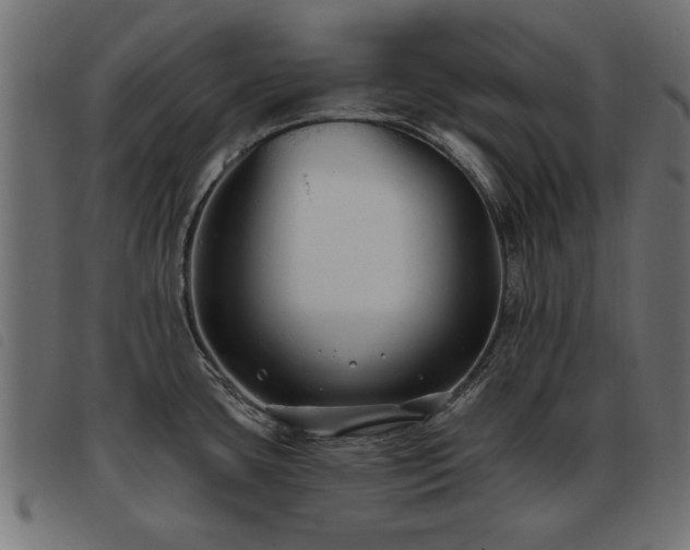 X0000093451435200710121345