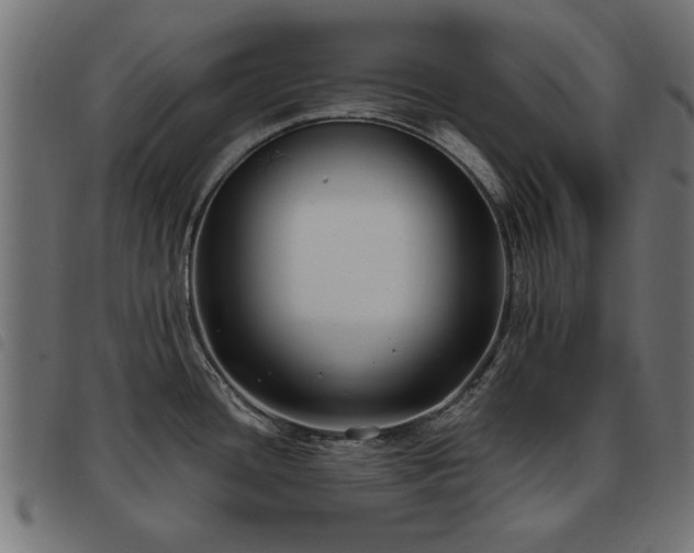 X0000093451436200710121345
