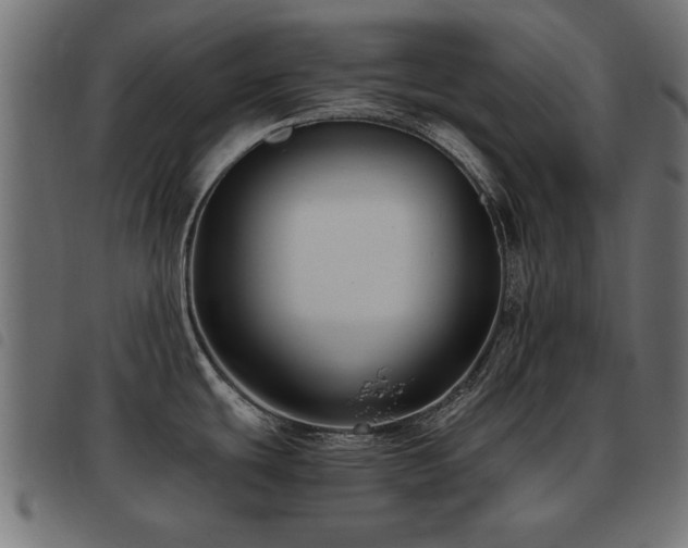 X0000093451439200710121345