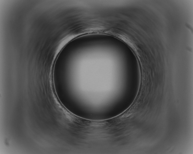 X0000093451440200710121345