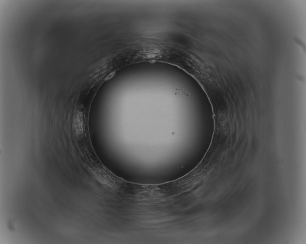 X0000093451442200710121344