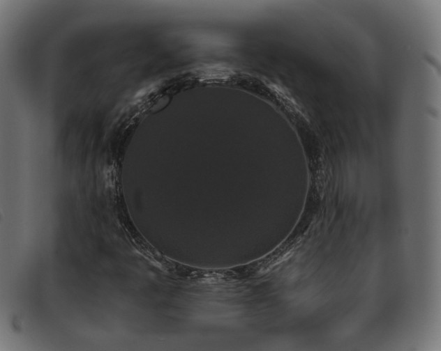 X0000093451445200710121344