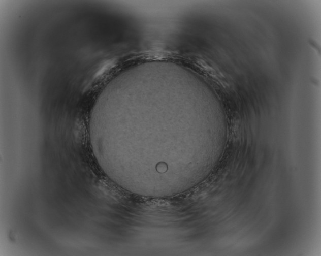 X0000093451446200710121344