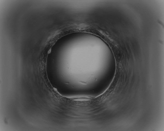 X0000093451447200710121344