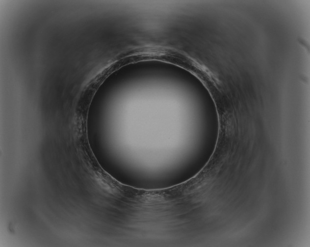 X0000093451448200710121344
