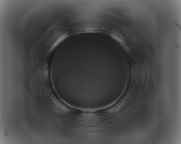 X0000093451450200710121344