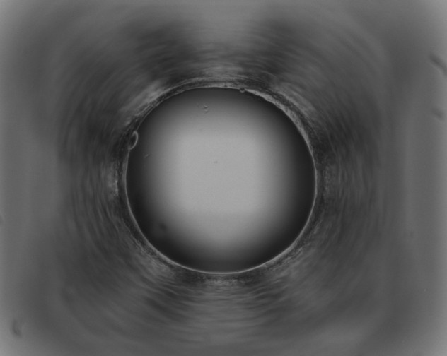 X0000093451451200710121344