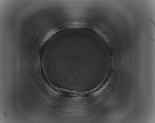 X0000093451453200710121344