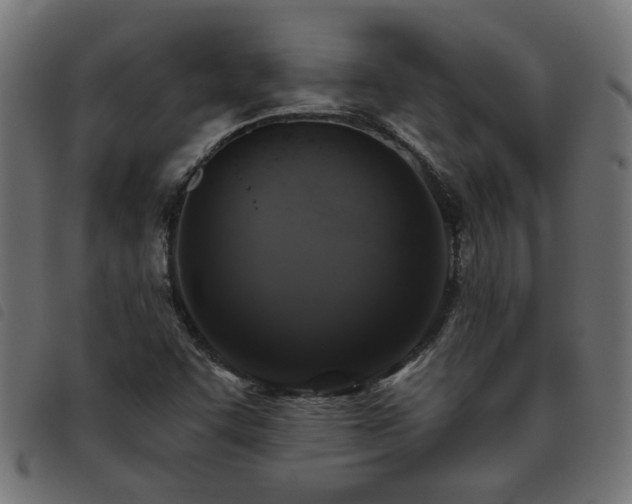 X0000093451455200710121344