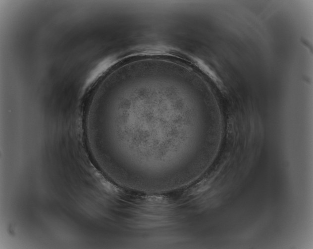 X0000093451456200710121344