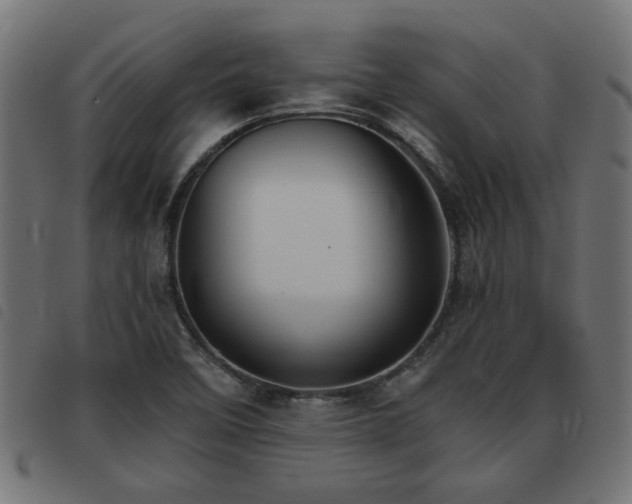 X0000093451458200710121344