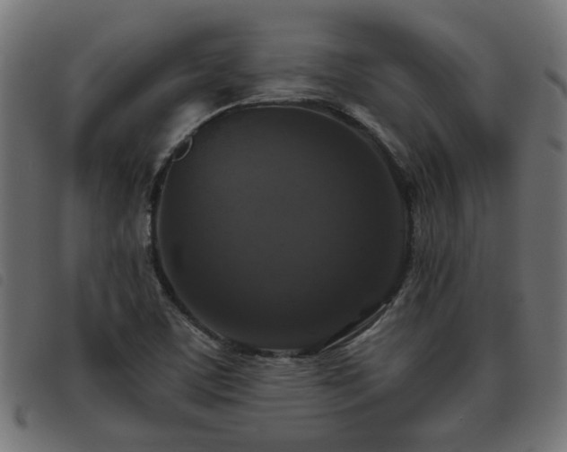 X0000093451459200710121344
