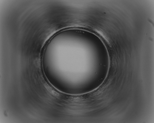 X0000093451460200710121344