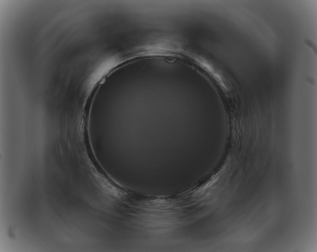 X0000093451463200710121344