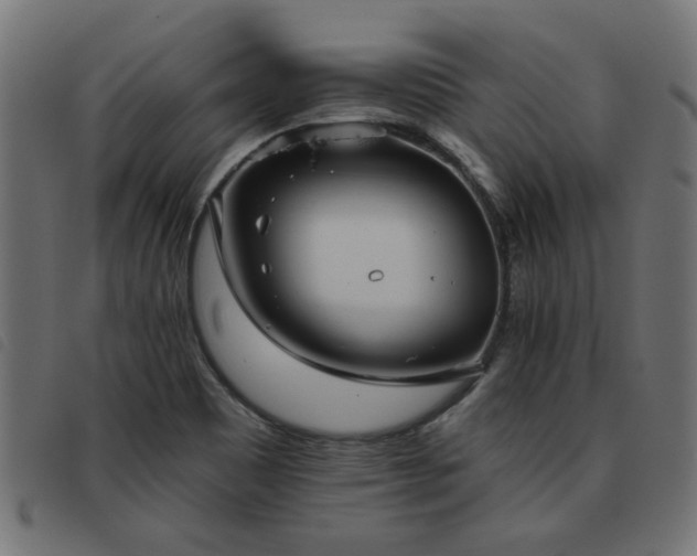 X0000093451465200710121344