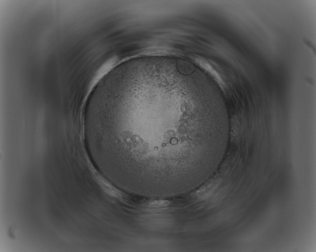 X0000093451467200710121344