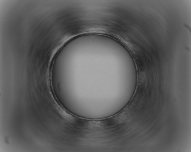 X0000093451470200710121344