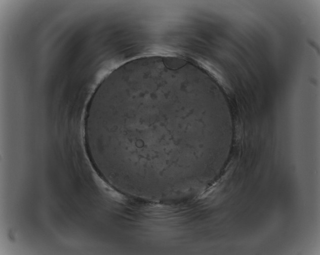 X0000093451471200710121344