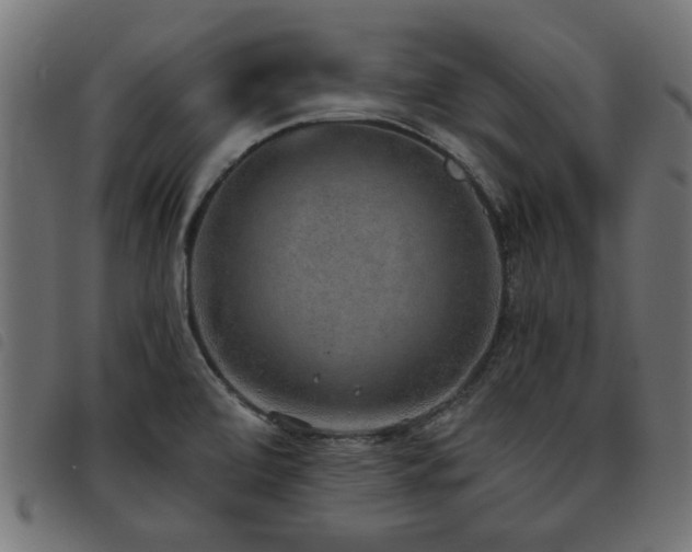 X0000093451472200710121344