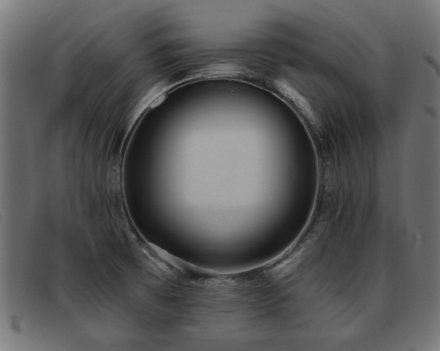 X0000093451473200710121344
