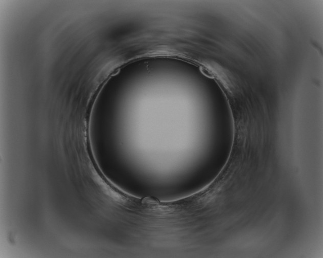 X0000093451476200710121344