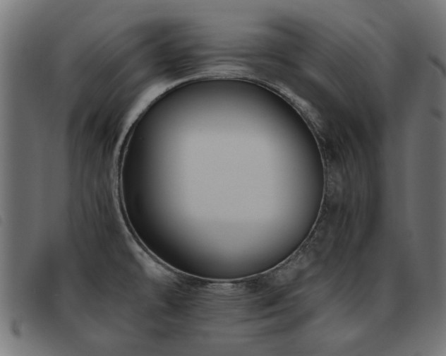 X0000093451478200710121344